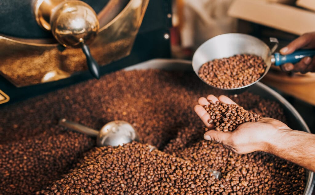 dia_cafe_behind_the_roast_coffee_beans