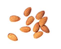 dia_cafe_nutty